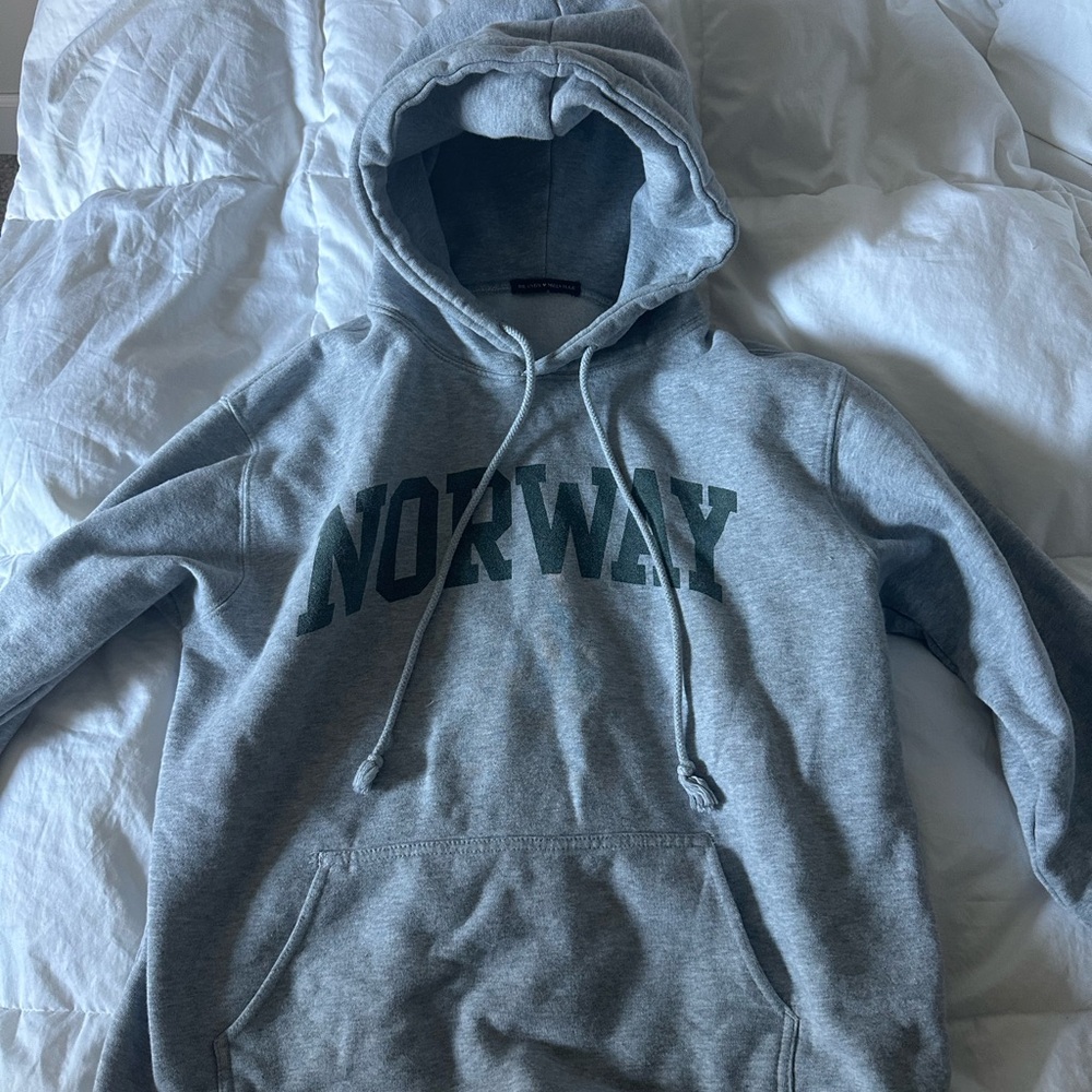 Gray Norway Hoodie